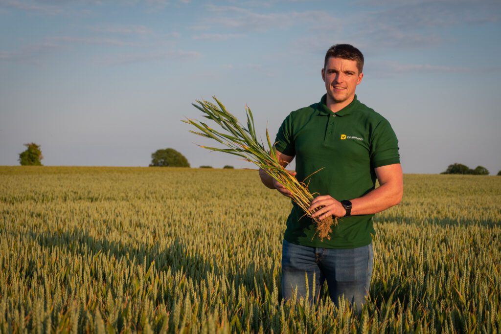 Male member of Drummonds staff standing in crop field holding crops in his hand and smiling