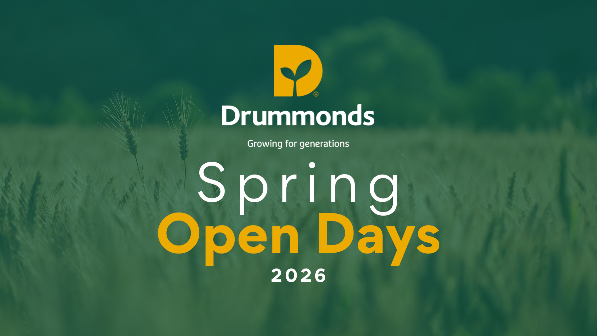Spring Days Rajendran Spring Open Days 2026 - Drummonds Ireland